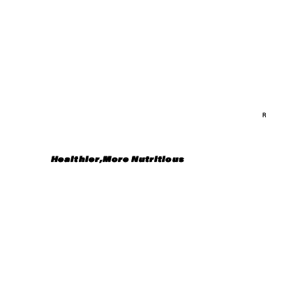 logo section-06